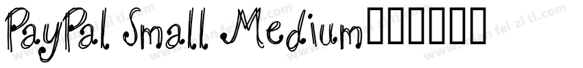 PayPal Small Medium字体转换